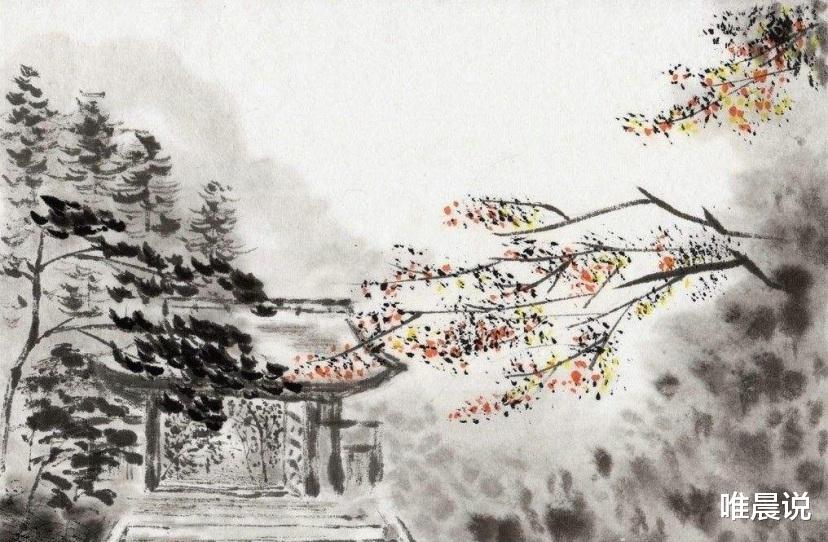 唯晨说|人到中年,别再委屈自己去取悦别人