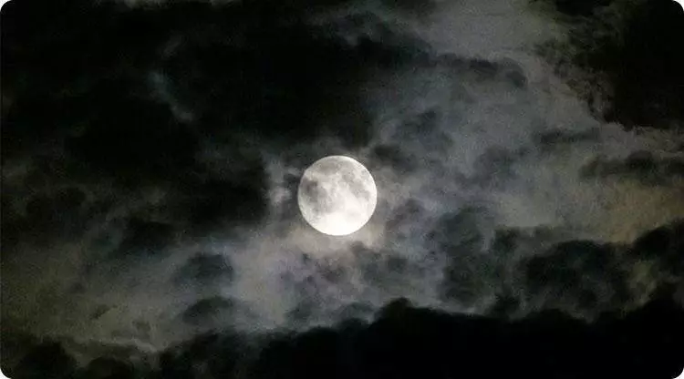 诚然命理 常做这几种梦，预示你将破财！