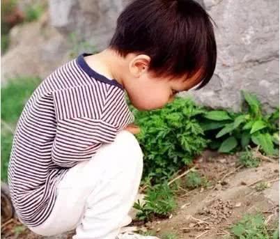 小哥哥聊育说|孩子长大后，是不是学习的料，主要看上幼儿园之前有没有这个能力