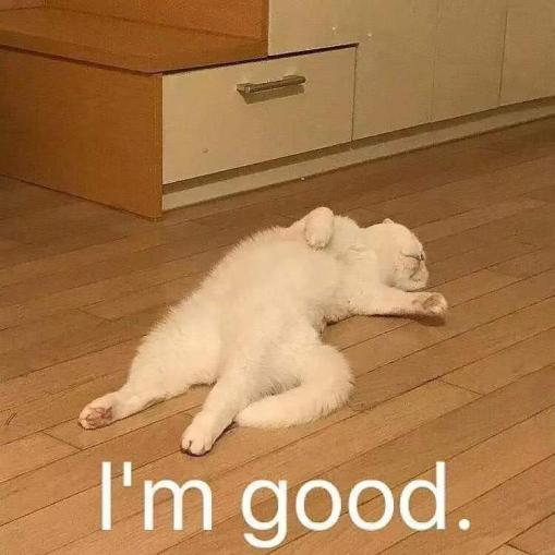 |导演！我真的不想再看纯爱剧了！