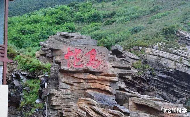 毒蛇|我国毒蛇最多的地方，0.73平方公里生活着20000条毒蛇，毒性极强