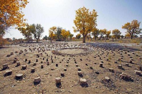 菜菜叶|太阳墓之谜:外表奇特而壮观,整个外形酷似一个太阳