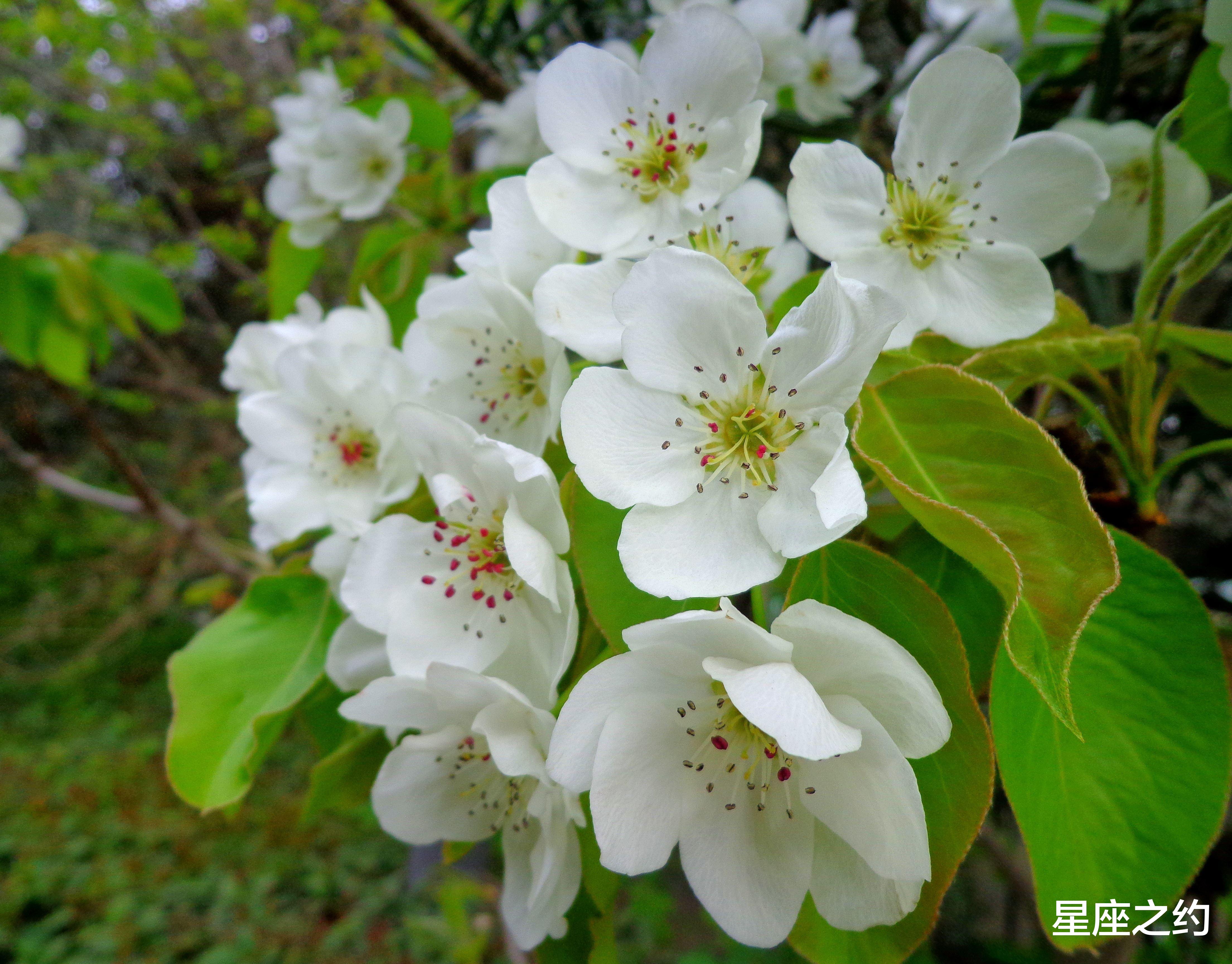 星座运势|1月27日星座运势：双子全力以赴，狮子沟通顺畅，双鱼大度包容