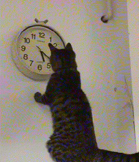 广州市 老婆跟领导出差，发来照片说在广州塔，朋友看了劝我离婚，为什么？