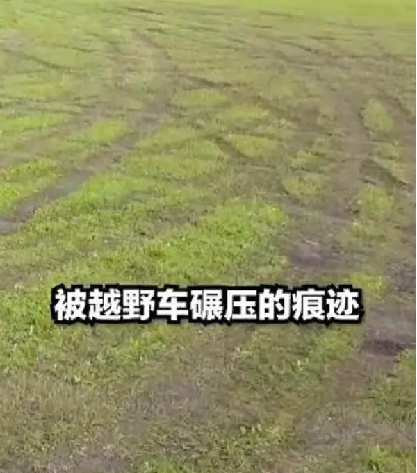 城市谈 致歧视学生的天津前女教师，看文中图片，这些高素质人有钱吗？