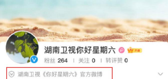 谢娜|《你好星期六》上线，成员大换血，网友热议不断