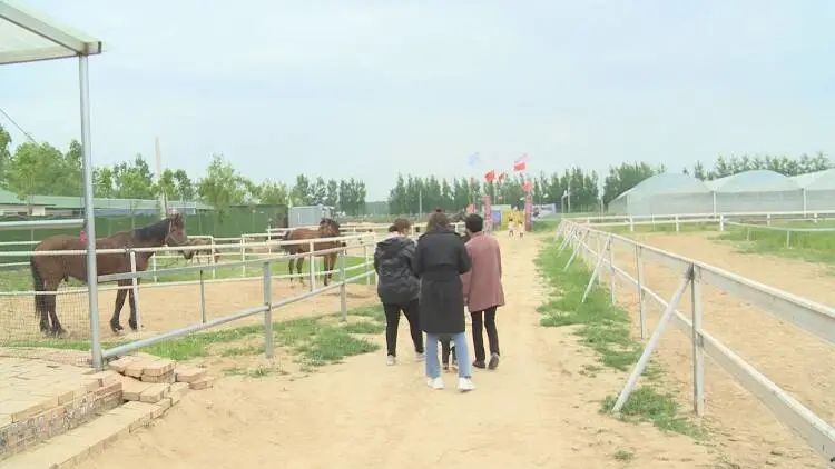 |骑马、真人游戏对抗、垂钓、游船,成武这里都能玩儿