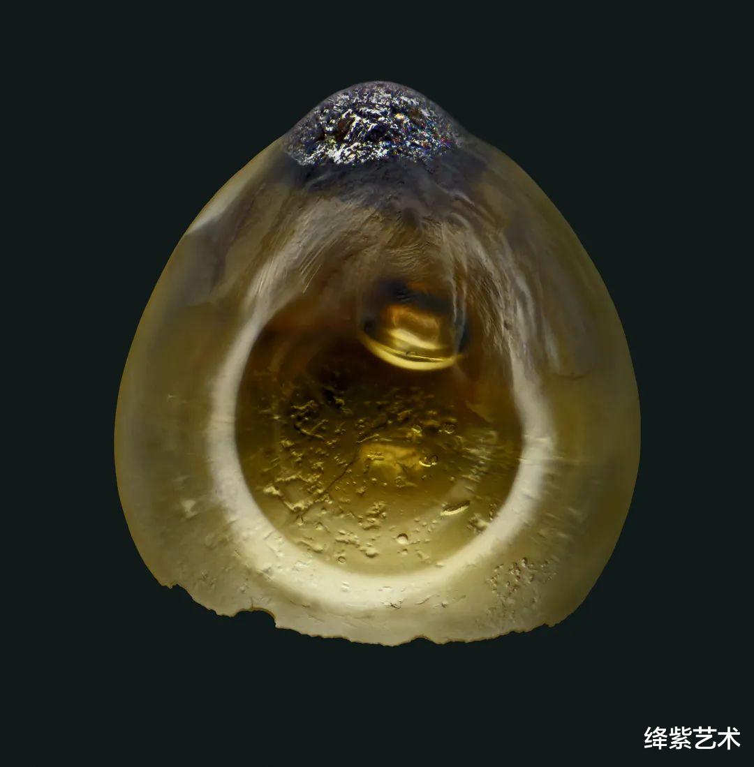 跨越亿万年的浪漫,他是罕见的“寻星者”,从全世界找寻宇宙星尘