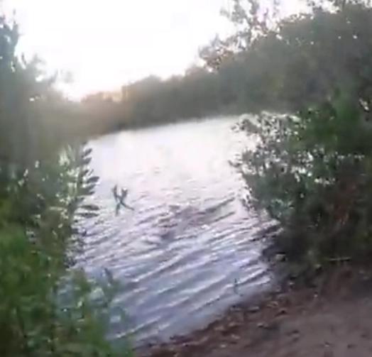美國佛羅裡達一名釣魚者遭遇巨鱷襲擊，絕處逢生猶如恐怖電影-圖2