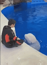 |你这是找对象还是找妈呢？比老爸都大八岁，你图她不洗澡吗？哈哈哈