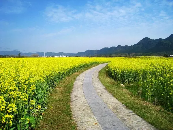 苏素明式红木家具|一栋清朝的老宅，美得像一幅画！