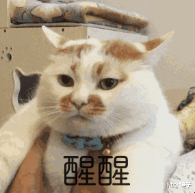 扯个锤子 煤气灯操纵：PUA精神控制的威力超出想象