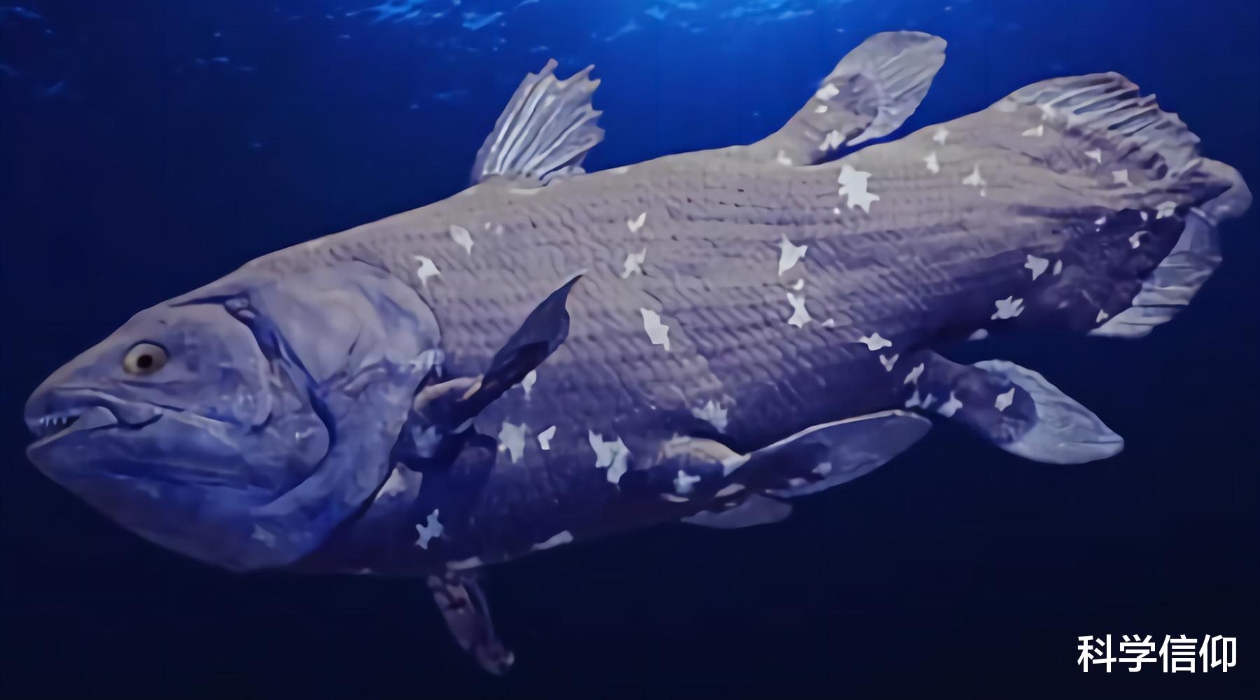 月壤 人不仅是猿变的,还是从鱼进化而来的,怎会如此有趣?