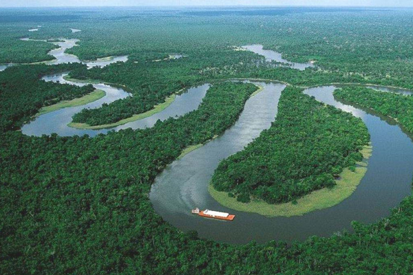  热带雨林的“王者”，亚马逊森蚺有多可怕？连鳄鱼都能轻松制服