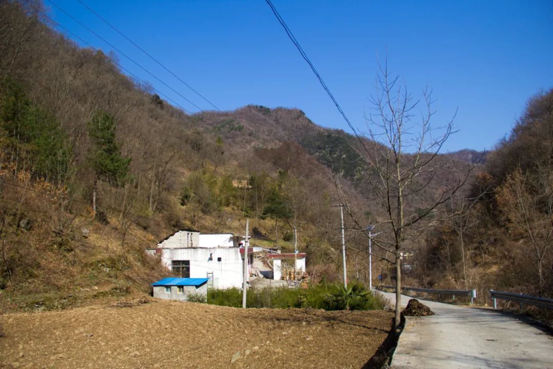 秦岭 景色平淡的秦岭小山沟，爬到高处拍了张全景，没想到竟还有了新发现
