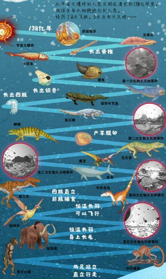 人类从哪里来?基因科学揭秘人类起源背后的真相