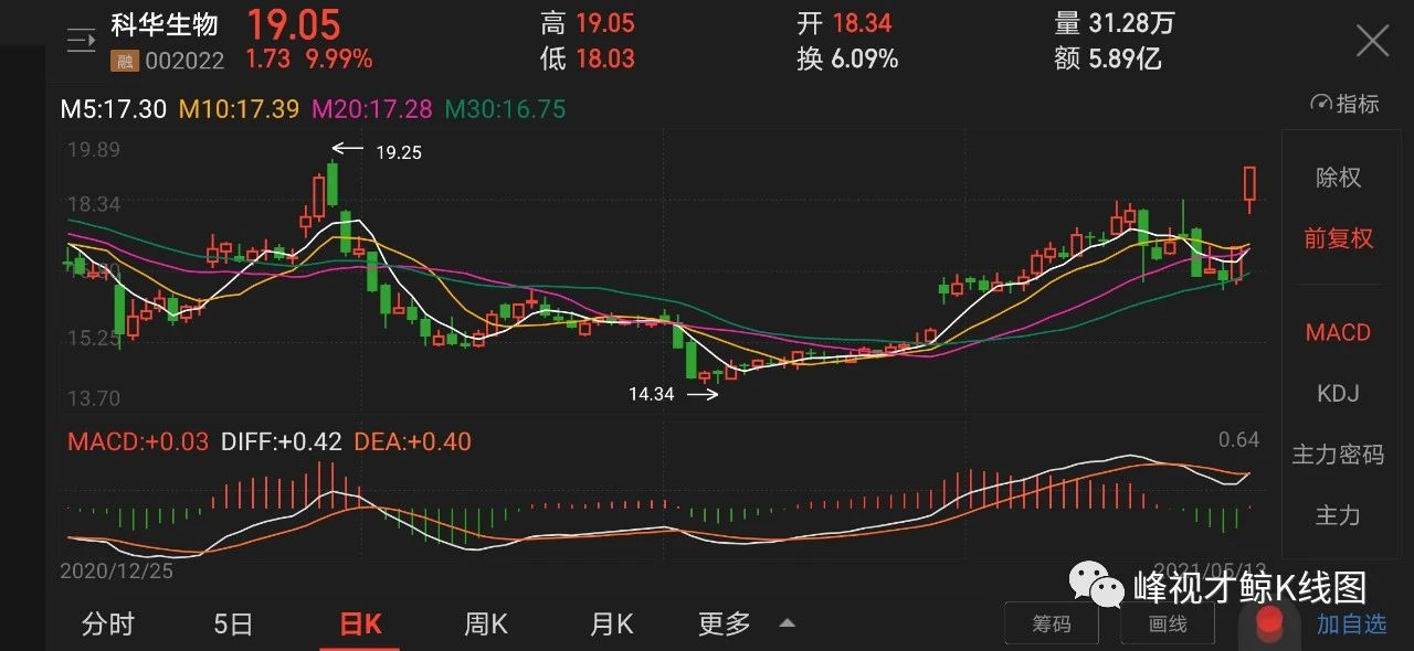 生猪价格 5月13日个股涨停密码