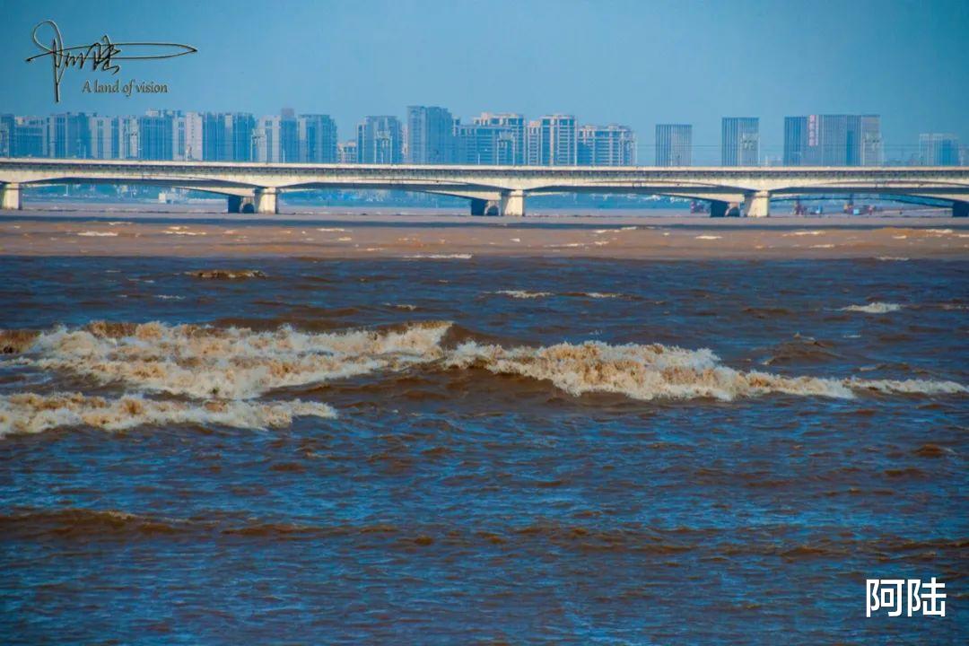 阿陆 在杭州总能看见勇敢的弄潮儿，于钱塘江之中乘风破浪