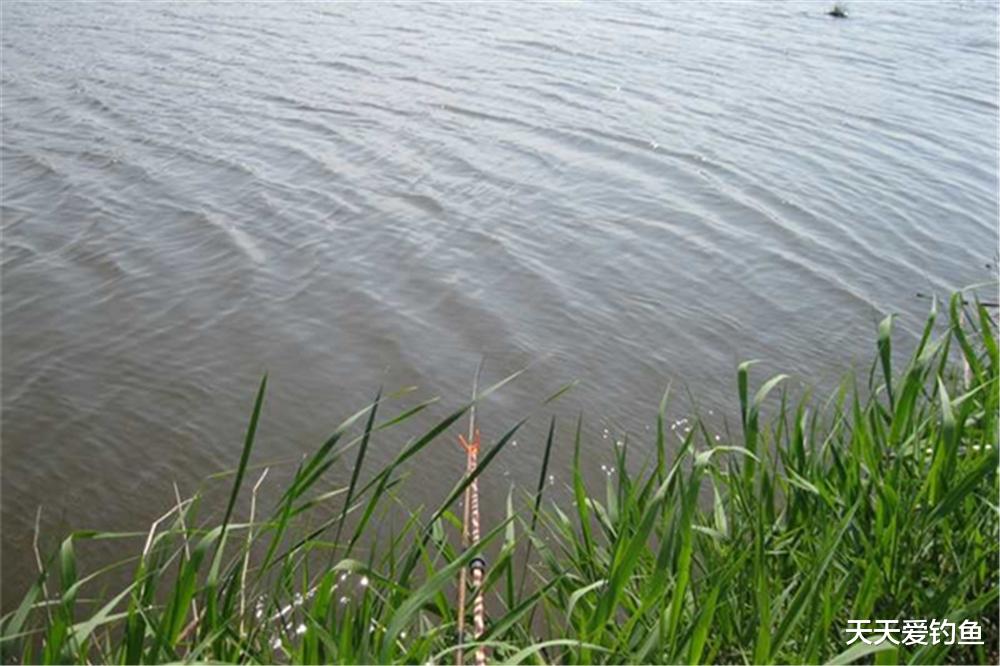 养生|夏季钓北风钓东风，风小钓逆风，风大钓避风，有风才能上大鱼！