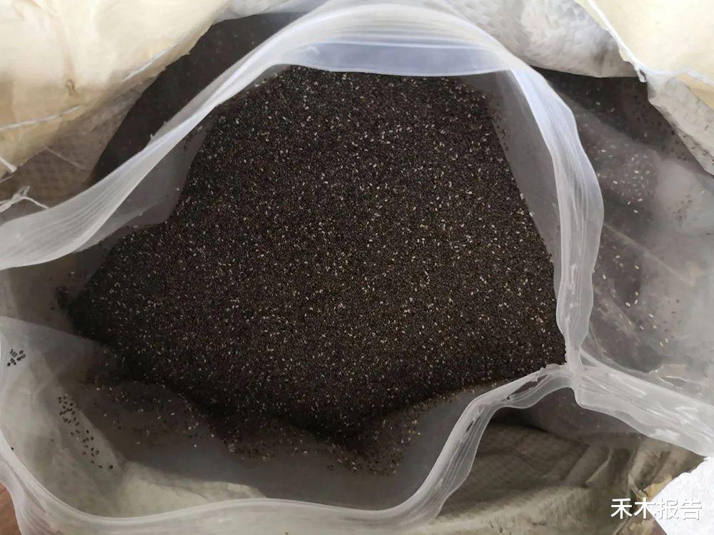 番茄|号称“全能粮食”，引进我国爆红，价格年年涨，又是炒作起来的？