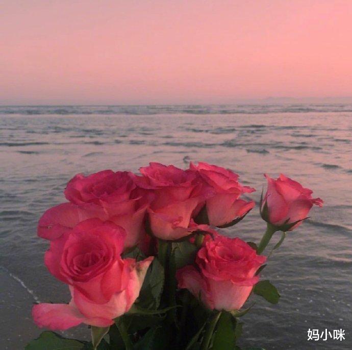 妈小咪|人到中年，赚钱上瘾，才是人间清醒