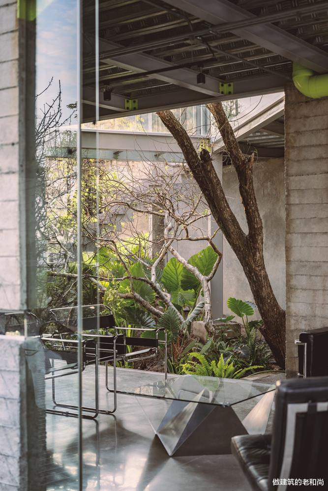 兼顾隐私和采光的住宅：半透明外墙与室外休闲平台搭配相得益彰