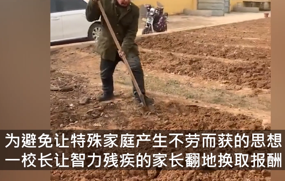 城市谈 智残家长给学校翻地换得善款,河北一小学校长表示:避免不劳而获