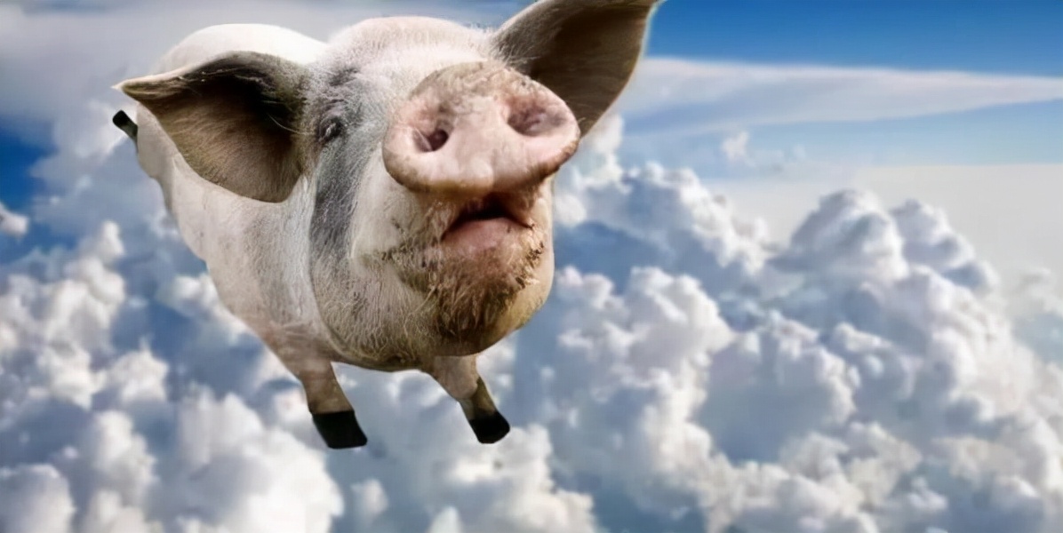 小米科技|曾经极度推崇互联网渠道的小米，为何如今扬言两到三年内建设3万家小米之家？