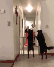 萌萌萌说|“女友在酒店给我拍回来照片,但就感觉不对劲!”你们帮忙看看吧