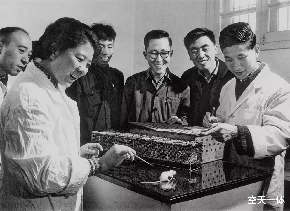 又双叒叕来?继二氧化碳人工合成淀粉后,一氧化碳也能变蛋白质?