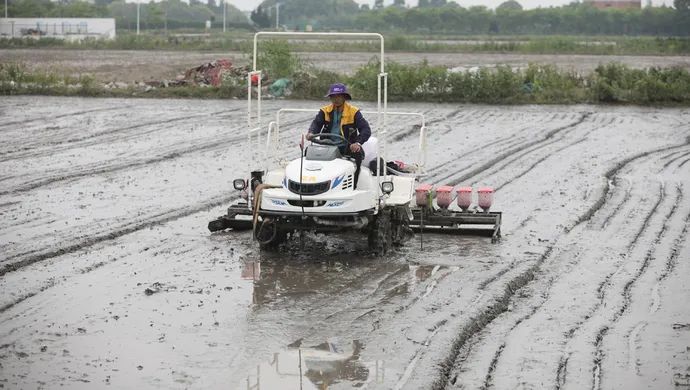 上海奉贤 金汇这个合作社俩人一天种完80亩地，听说现在种粮大户都这么干……