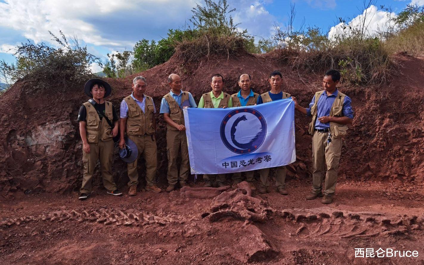 恐龙 云南再度出名!禄丰时隔83年再现恐龙化石,大雨冲刷无意发现骨架