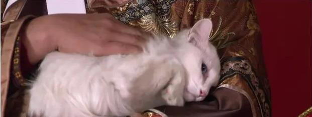 黄景瑜|《甄嬛传》幕后原来有这么多趣事!温大人你藏得可真深!