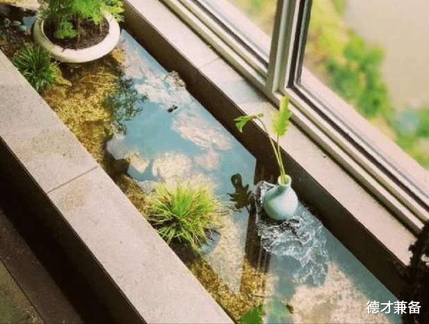 |别再用老式阳台了，只需稍微改动一下，赏花赏鱼赏风景，好看极了