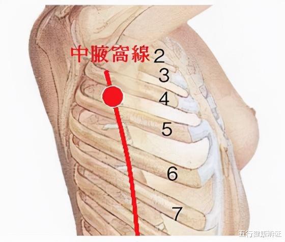 |中医常说观3镜,知全身!屁为脾之镜,胁为肝之镜,踵为肾之镜