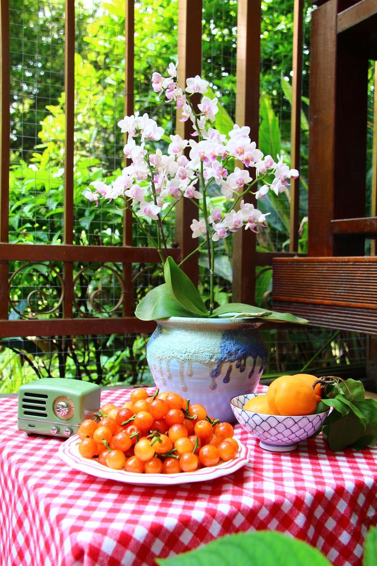 18年房龄的老房子，50㎡花园改造后，成了家人朋友最爱待的地方