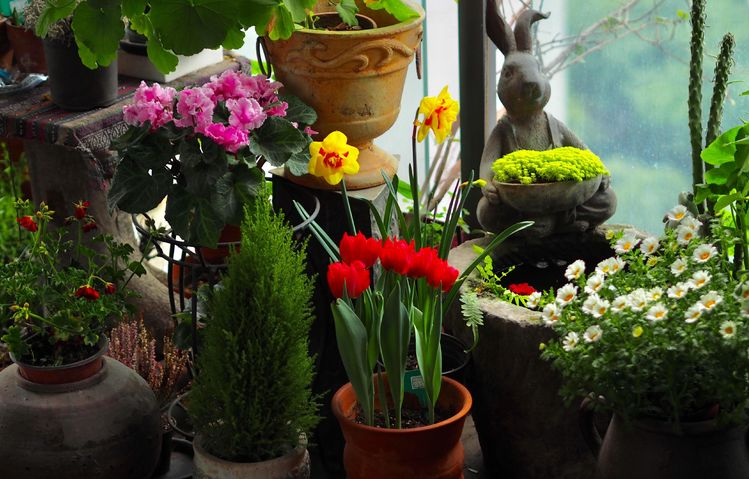 7㎡小阳台，改造成19楼的空中小花园，天天宅在家不想出门了