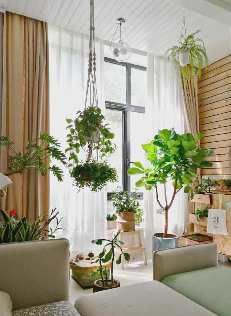 为什么越来越多的人喜欢封闭式阳台，看完就知道答案了！