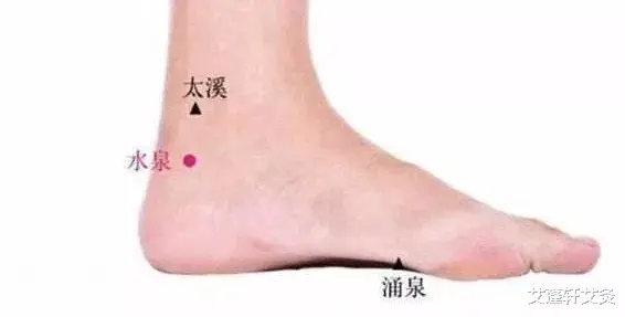 苹果|只要把肾经打通，这些病就全没了！！!