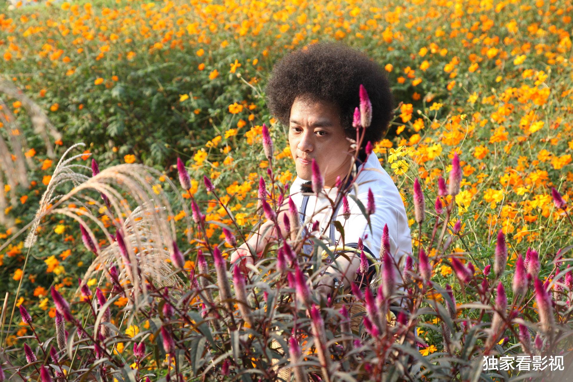 医院|2021开年8位明星英年早逝，赵英俊令人痛惜，3位不满30岁