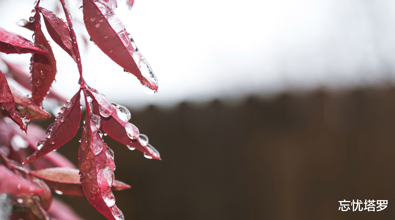 忘忧塔罗|忘忧塔罗:白羊座8月运势,有重新开始的打算,想从感情中走出来