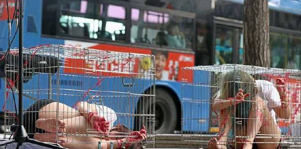 广播新媒 女孩众目睽睽被关进笼里，浑身鲜红，得知真相令人沉默！