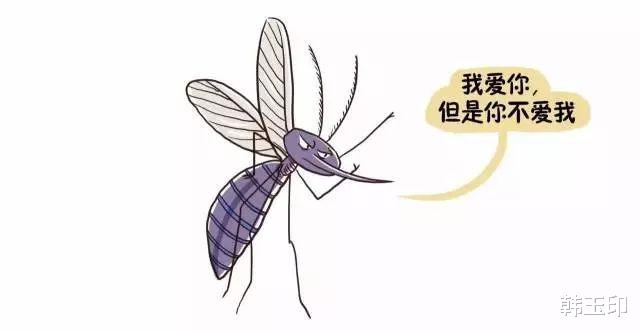 蚊子叮出了俺的“自信”