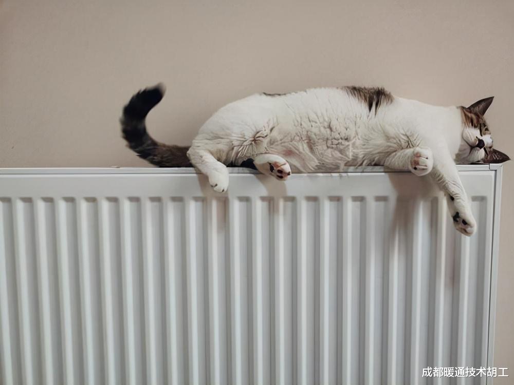 成都暖通技术胡工 同户型一套16800元和一套26800元的明装暖气片报价，二者有啥差异