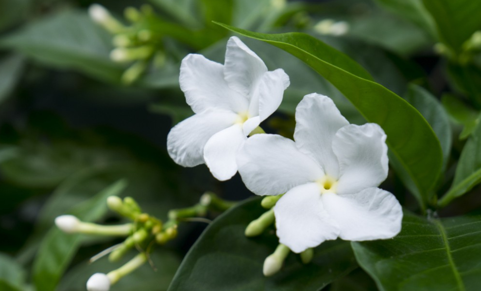 生肖|7月，爱就爱了，没有先来后到，3生肖互相看对眼，大胆牵手，风雨无阻