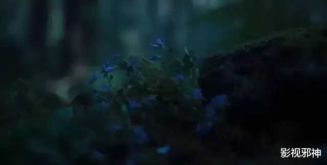 冯绍峰|开场50分钟才高潮，憋死我了