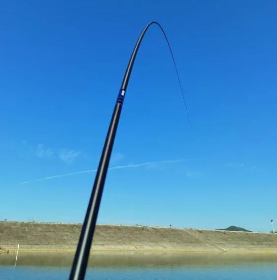 |第07章 鱼的洄游和活动水层变化（中）