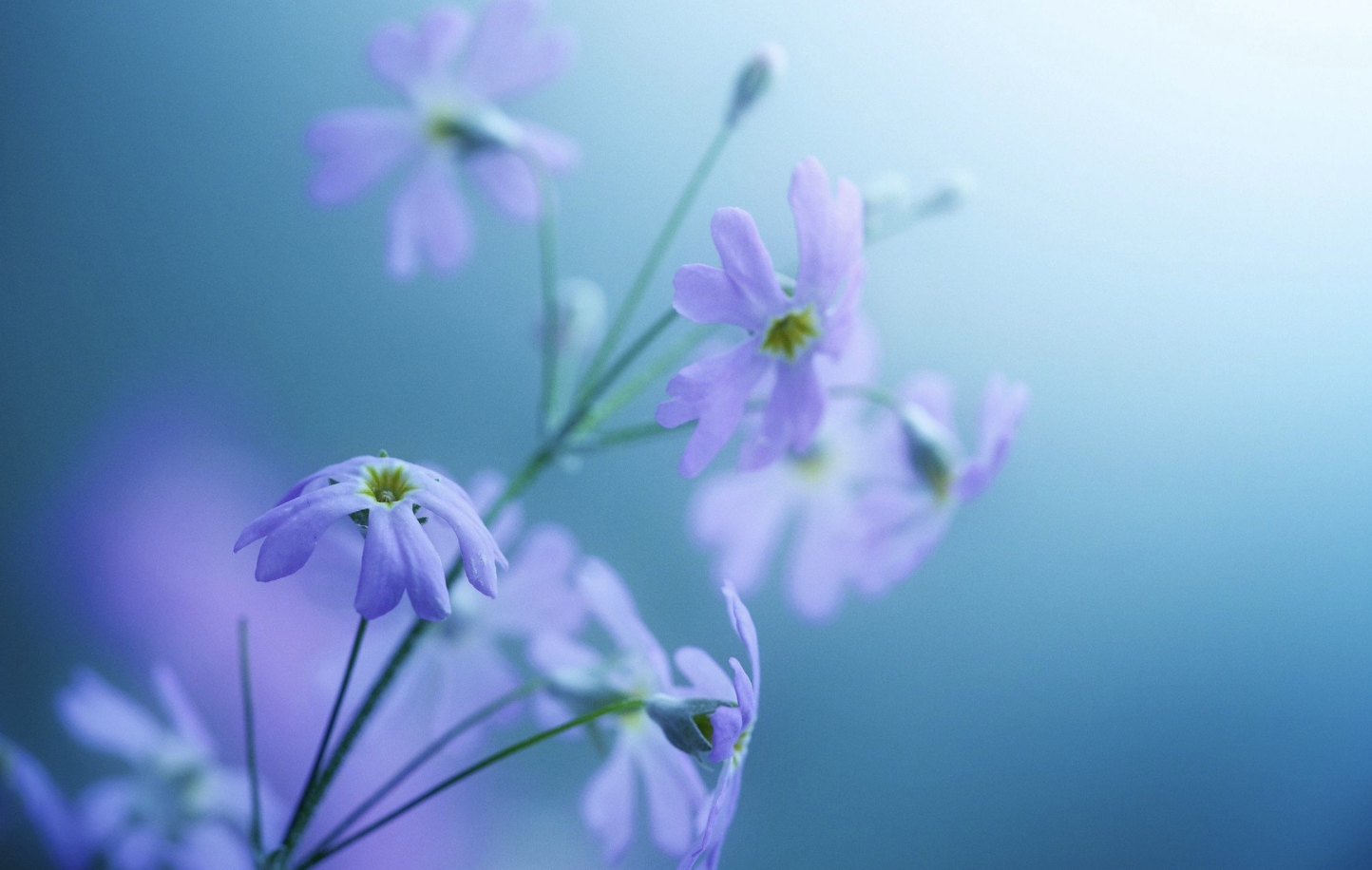 生肖夜梦|9月底,家有喜事,光耀门楣,3生肖财神在右,贵人在左,发家致富