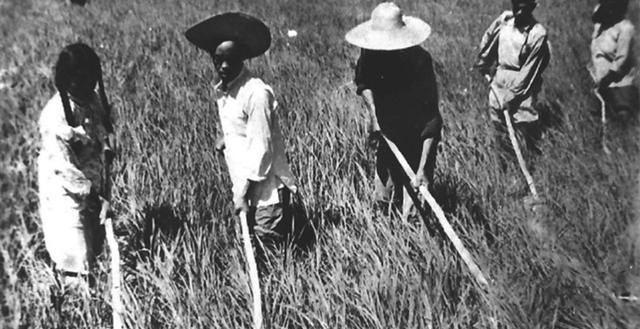 台湾 新婚9天泪别妻子，潜伏台湾省40多年，晚年回归才知家中儿孙满堂