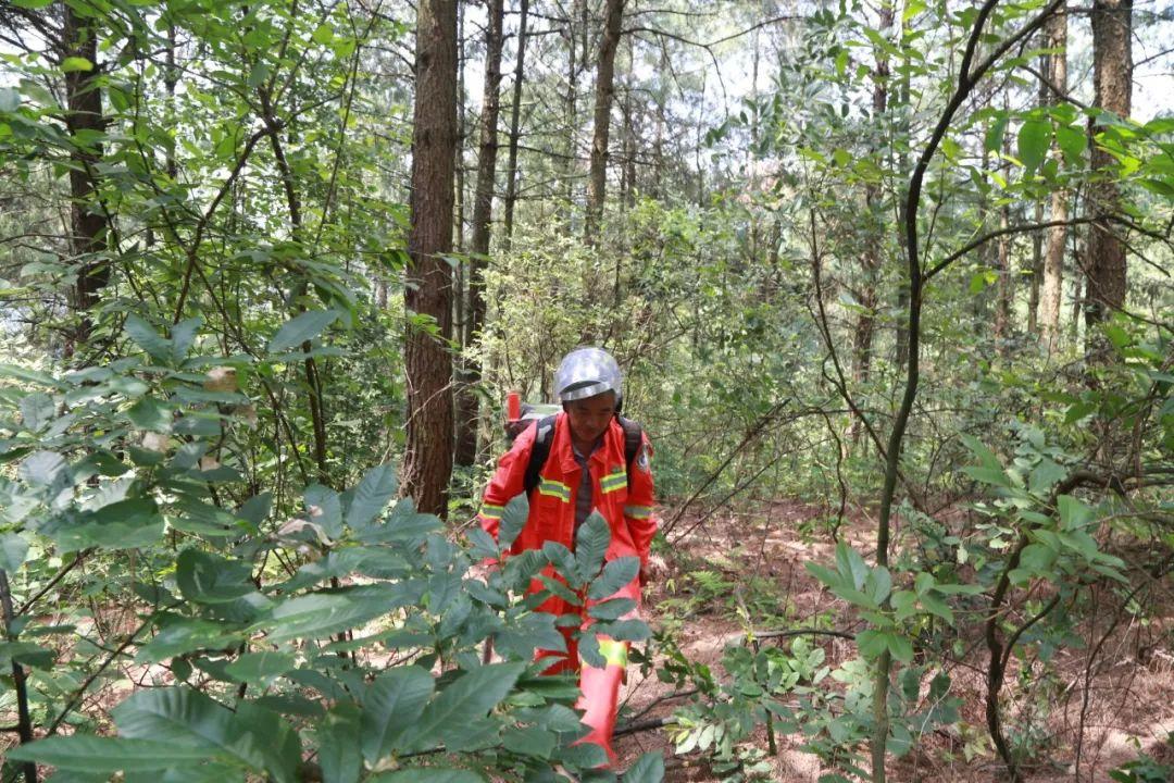 警察|除了军人和警察，我国哪些人还允许配枪? 看完涨知识了